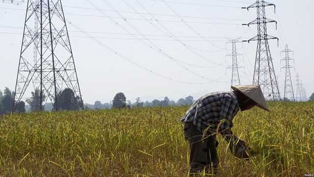 A farmer works in paddy field under the power lines near Nam Theun 2 dam in Khammouane province, Laos. 